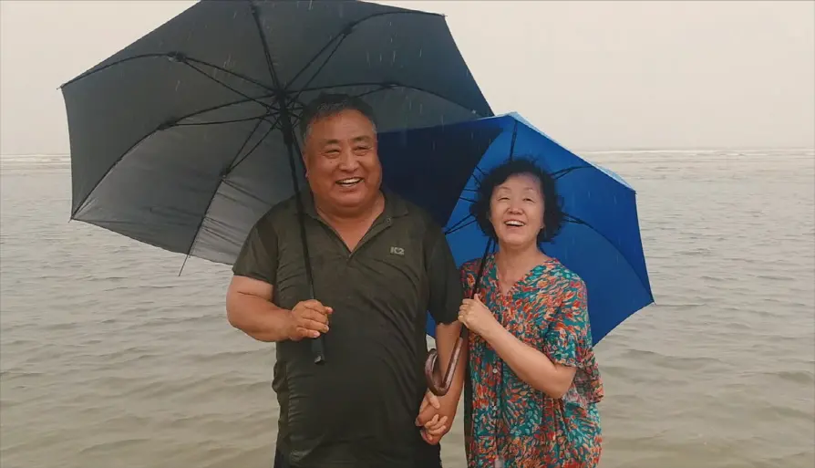작은새와 돼지씨