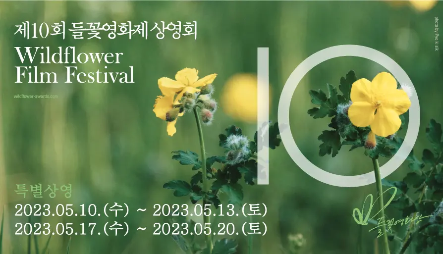 윤시내가 사라졌다