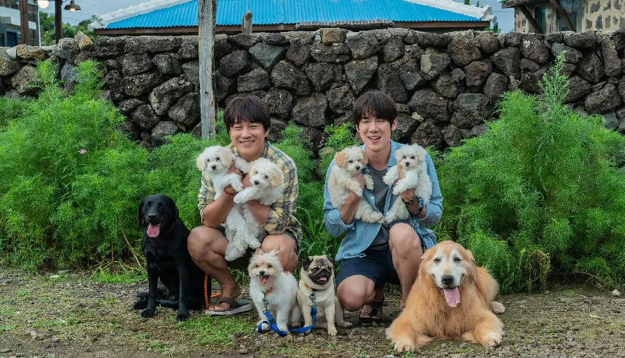 멍뭉이 (배리어프리)