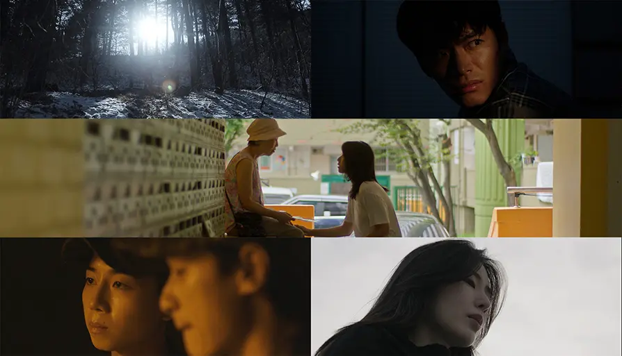 단편 섹션(하나의 넓이 / 언 땅 / 희망의 종소리 / 바람 / #1-1)