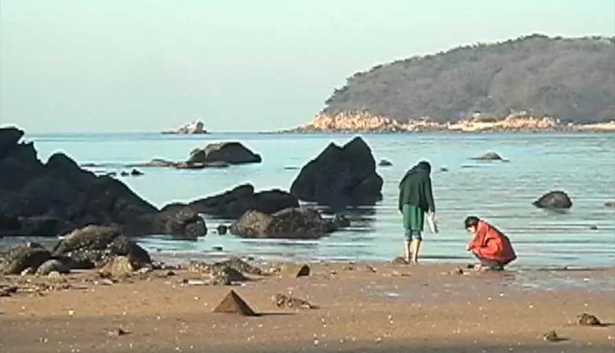 이 파도를 이 물결을 돌려줄게